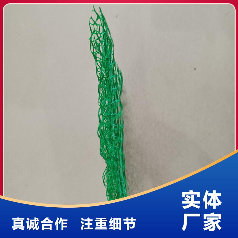 三维植被网HDPE土工膜发货迅速真诚合作