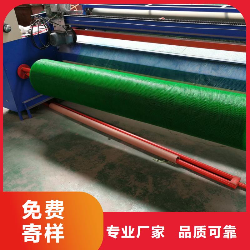 三维植被网【抗裂贴】货源稳定当地厂家