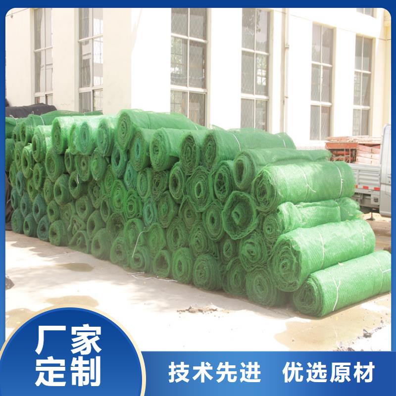 三维植被网防渗膜供应商厂家直营