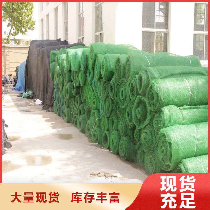 三维植被网抗裂贴货源稳定同城服务商