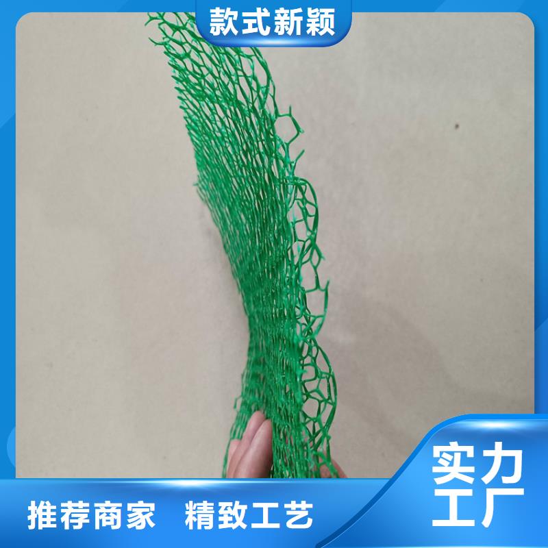 【三维植被网】HDPE土工膜专注细节专注品质种类丰富