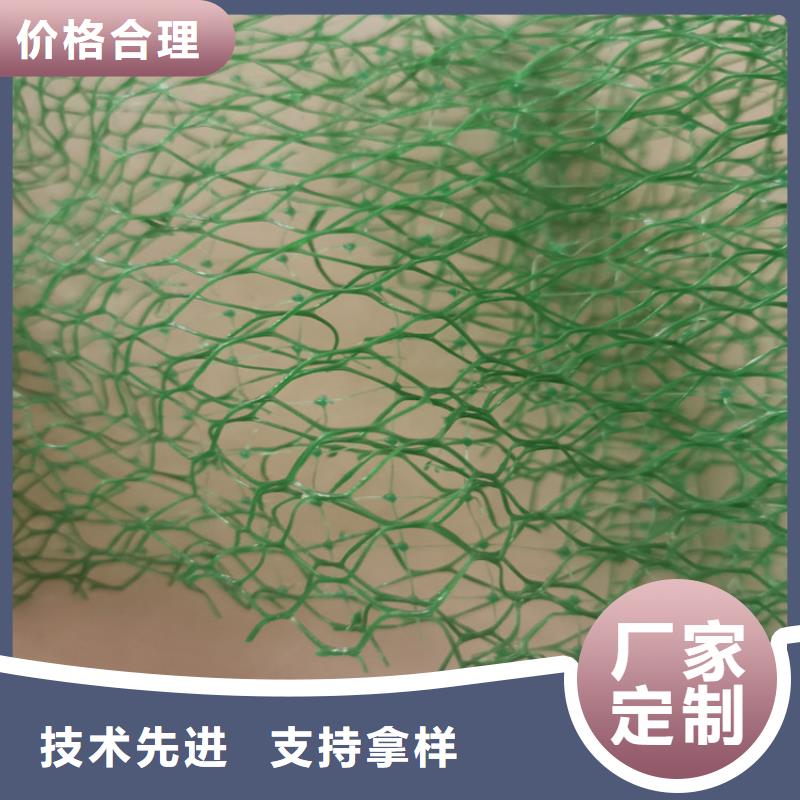 【三维植被网土工格栅不断创新】本地厂家