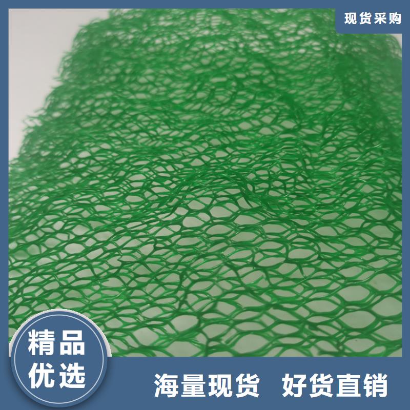 三维植被网_塑料盲沟质检合格发货大厂生产品质