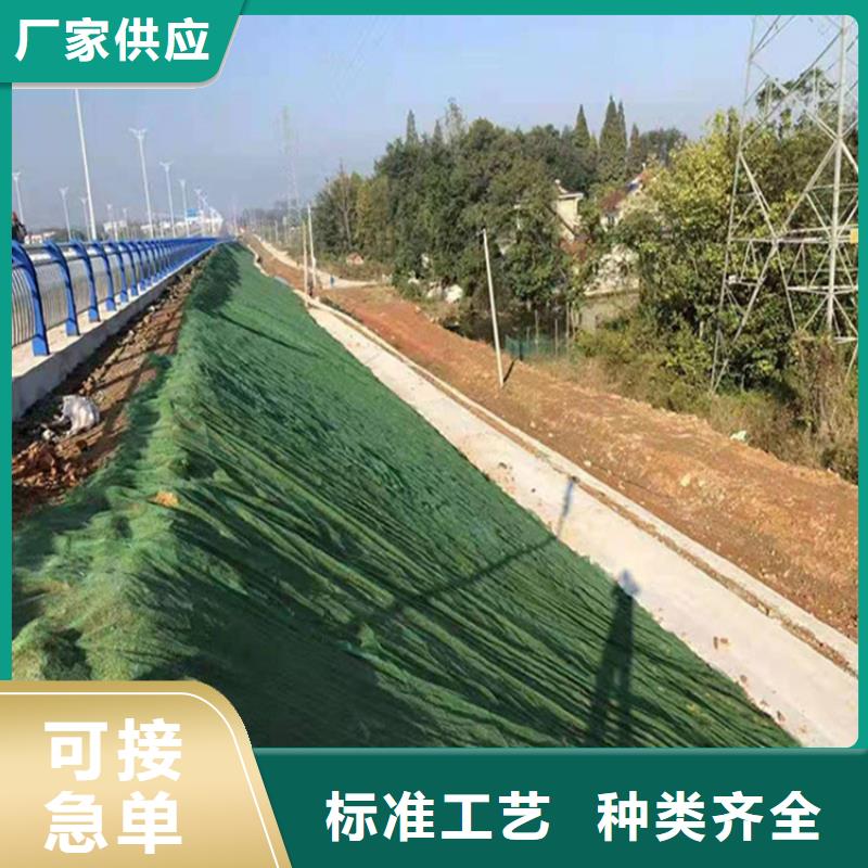 三维植被网HDPE土工膜高品质诚信厂家当地供应商