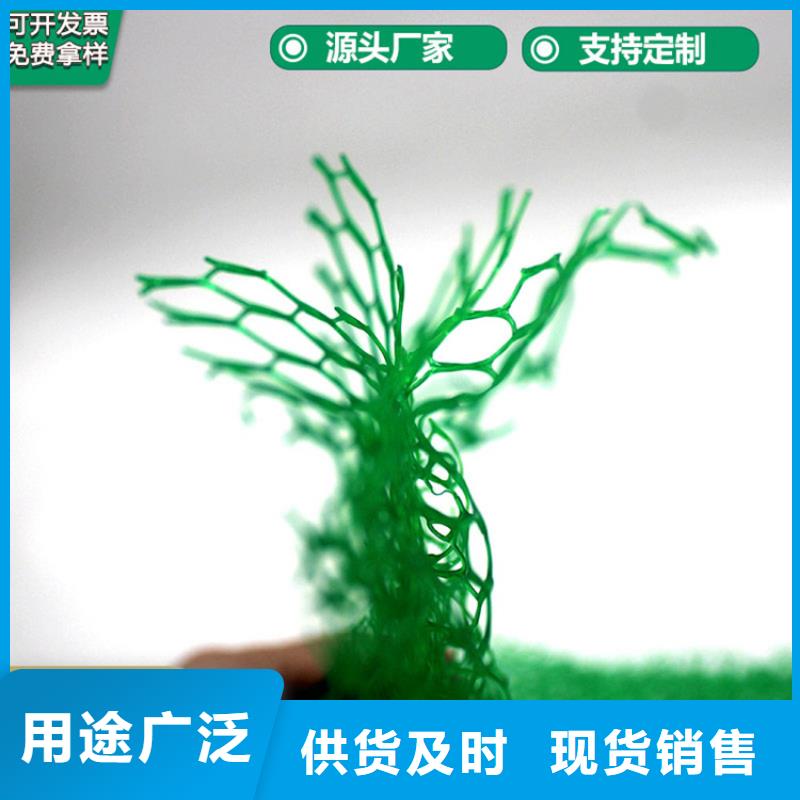 三维植被网通风降噪丝网放心购实体厂家大量现货