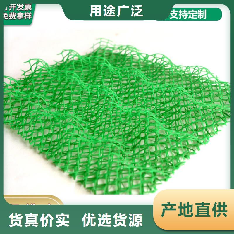 三维植被网土工膜高品质诚信厂家准时交付