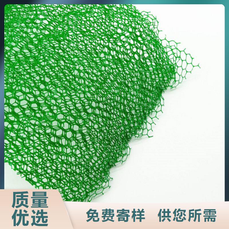 【三维植被网】HDPE土工膜质检严格放心品质当地品牌
