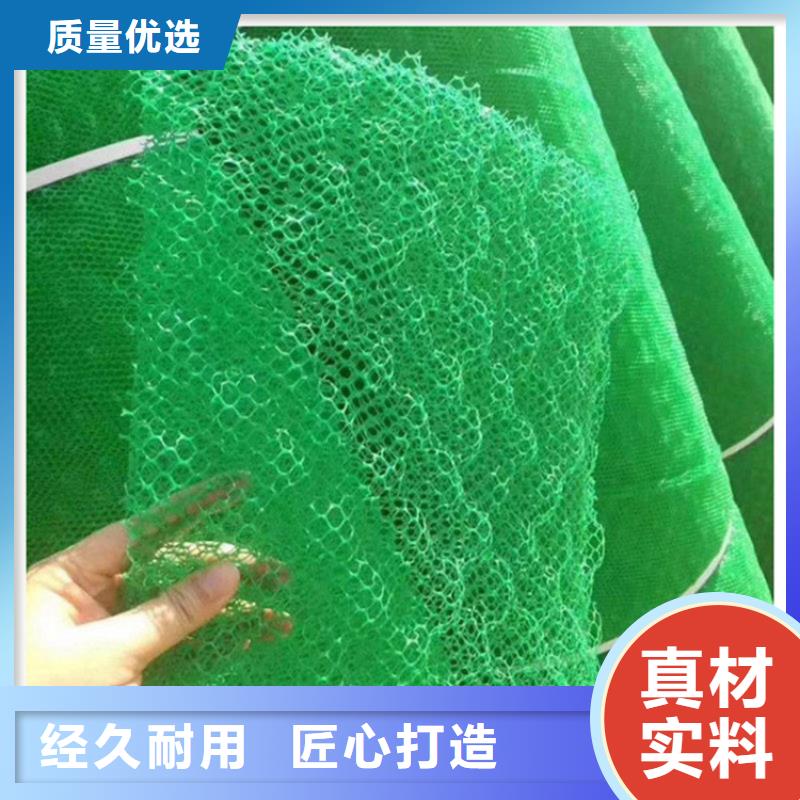 三维植被网土工布为您精心挑选本地生产厂家