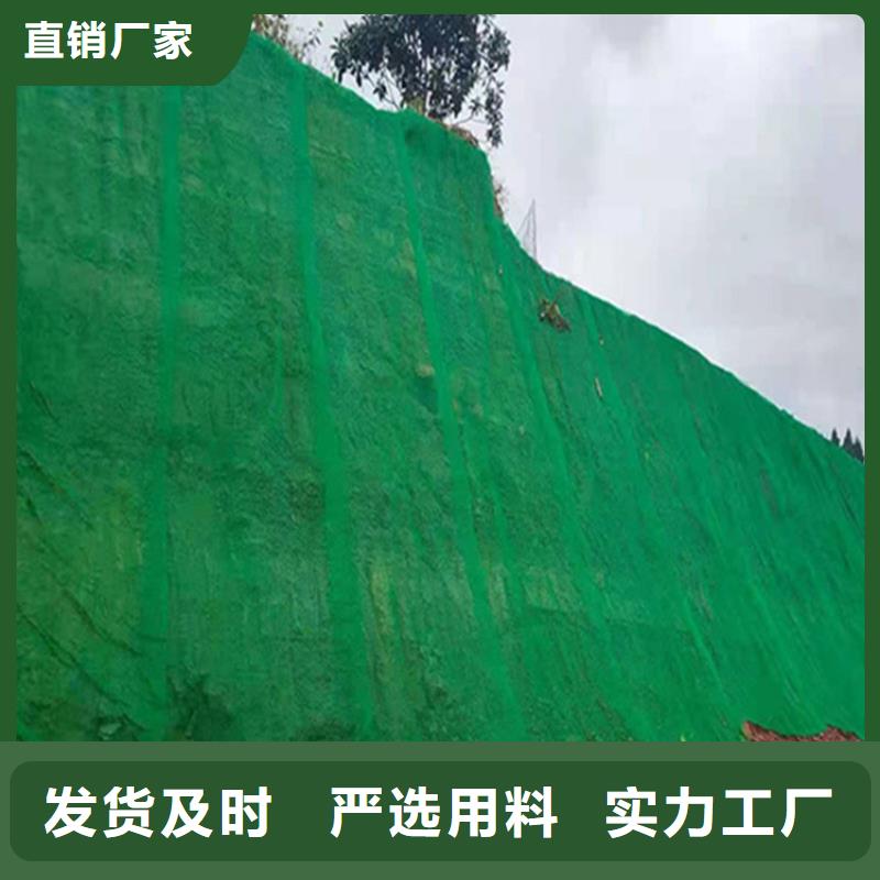 三维植被网【土工席】值得信赖源头工厂