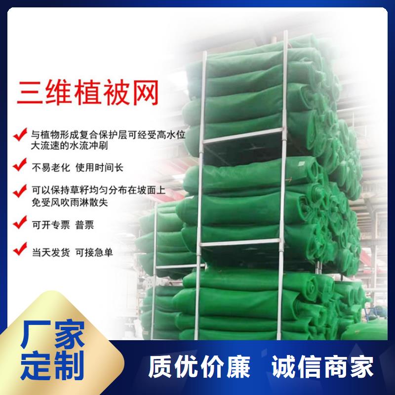 三维植被网土工膜定制零售批发同城制造商