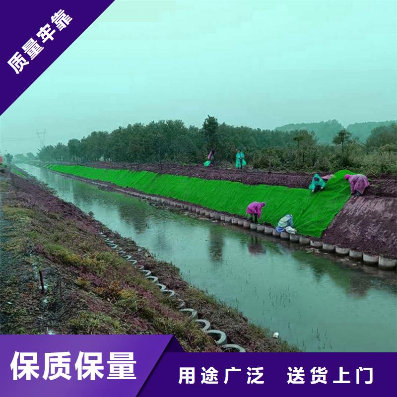 【三维植被网防草布质量安心】同城生产厂家