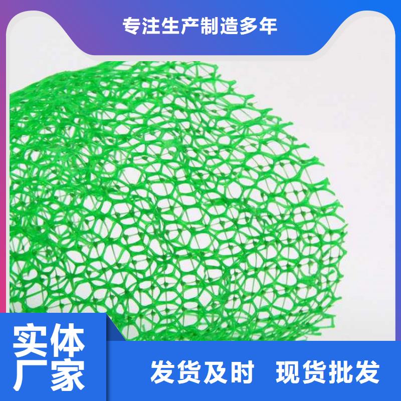 三维植被网-塑料排水板随到随提同城制造商