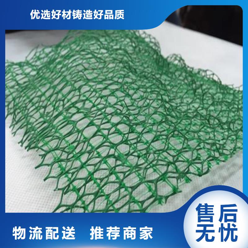 【三维植被网】植草格货源直供当地货源