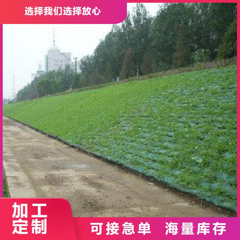 三维植被网-防渗膜工艺层层把关厂家十分靠谱