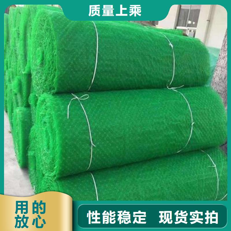 三维植被网复合土工膜N年生产经验源厂定制