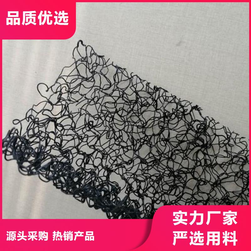 水土保护毯塑料盲沟厂家大量现货优质货源