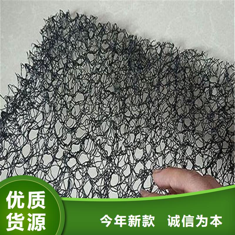 水土保护毯【土工膜】厂家售后完善海量现货直销