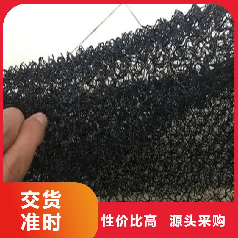 水土保护毯-复合土工膜匠心制造同城生产商