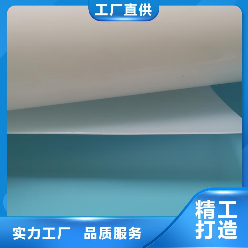 防水板土工格栅实力厂家本地货源