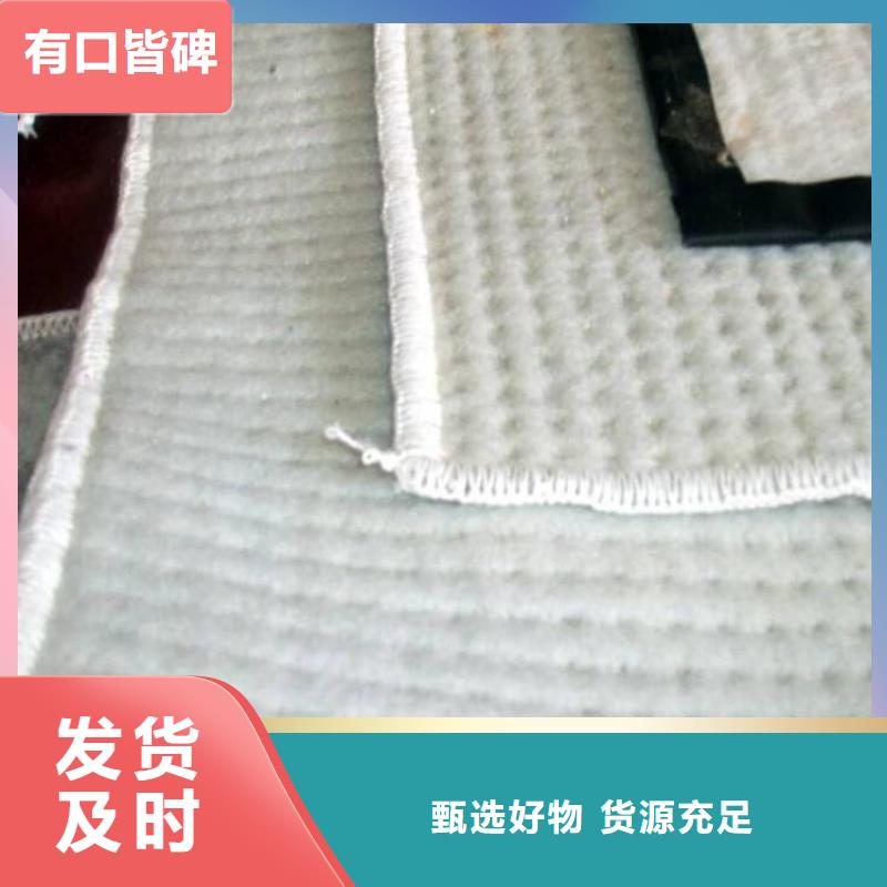 膨润土防水毯【水泥毯】设备齐全支持定制厂家精选