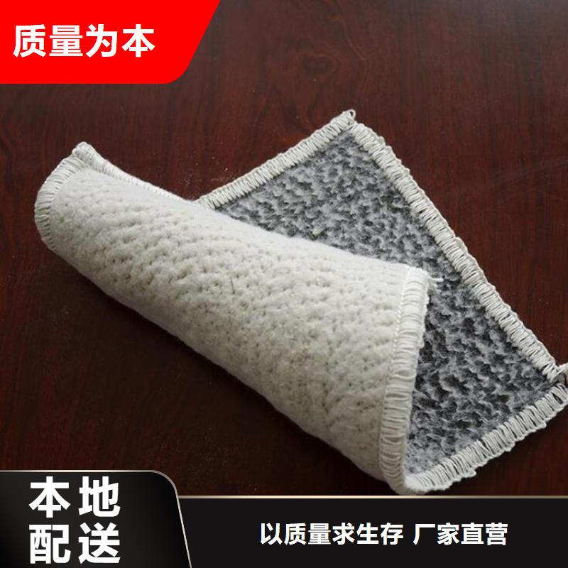 膨润土防水毯【防水排水板】好品质经得住考验丰富的行业经验