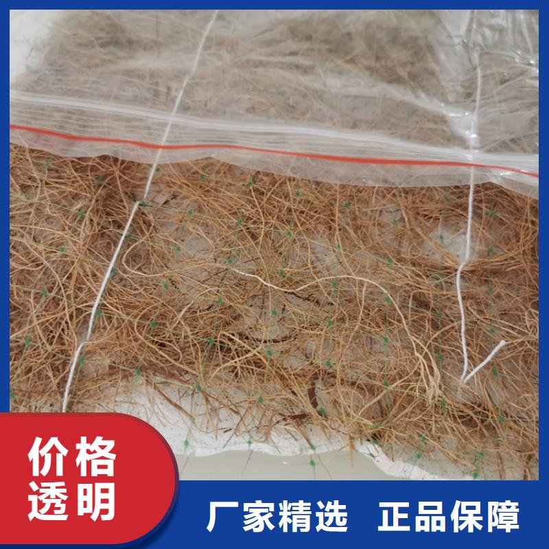 椰丝毯软式透水管精品选购资质认证