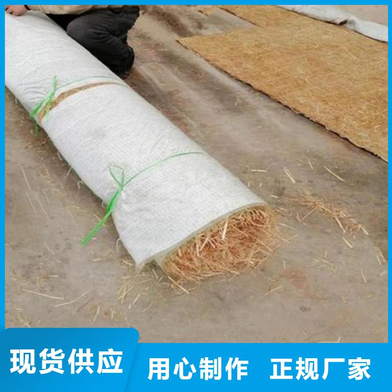 椰丝毯,【塑料排水板】工厂采购同城生产厂家