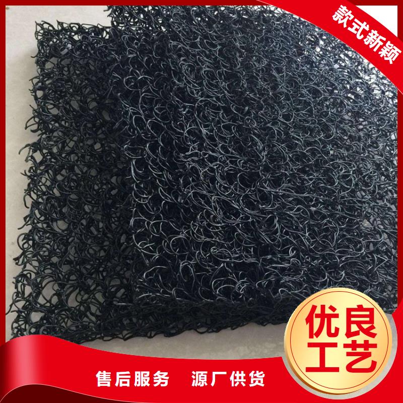 土工席垫-植草格敢与同行比质量同城生产商