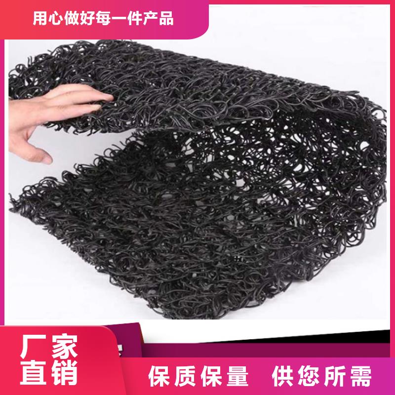 【土工席垫_HDPE土工膜多年实力厂家】同城供应商