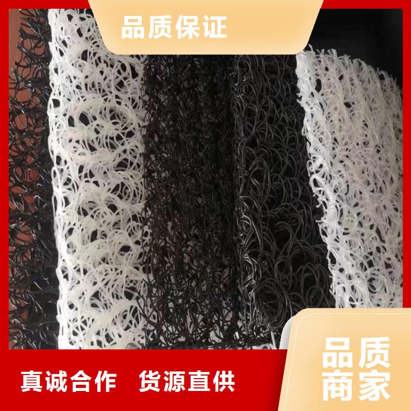 土工席垫HDPE土工膜品类齐全工艺层层把关