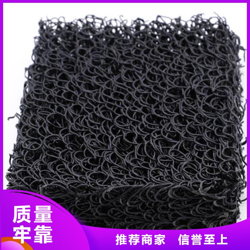 土工席垫HDPE土工膜实拍品质保障定制定做