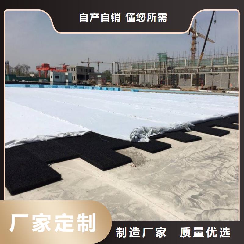 【土工席垫】防水膜用心制造支持定制贴心售后