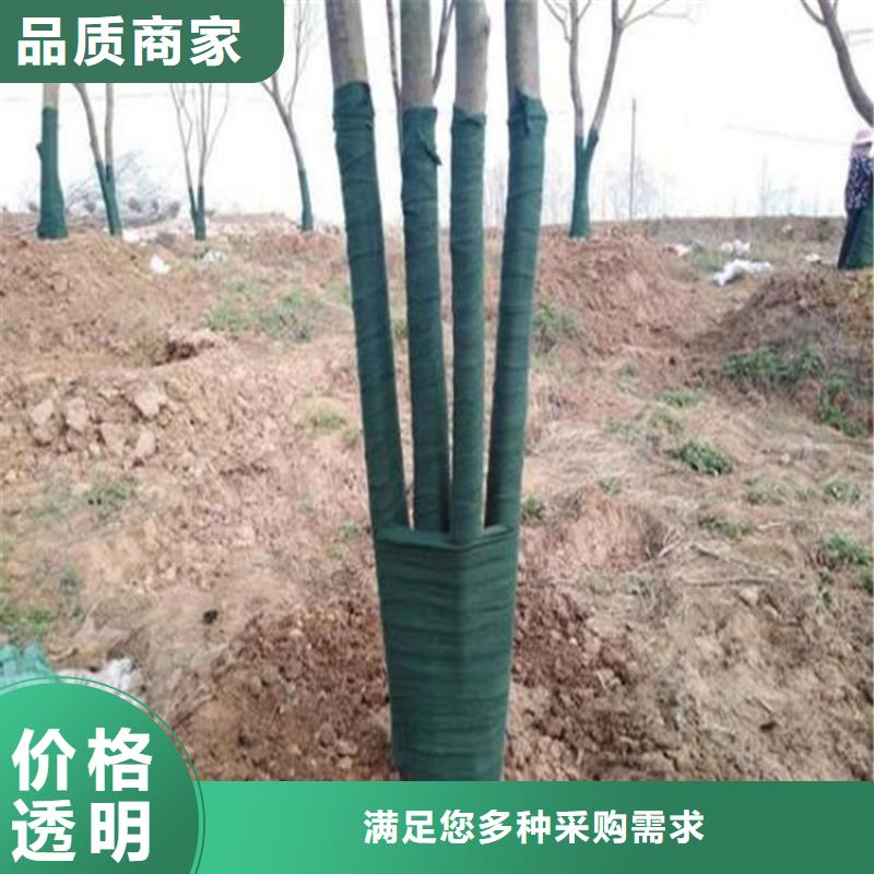 【裹树布】_【抗裂贴】源头采购行业优选