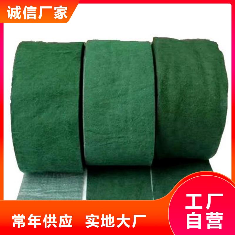 【裹树布】HDPE土工膜真实拍摄品质可靠就近发货