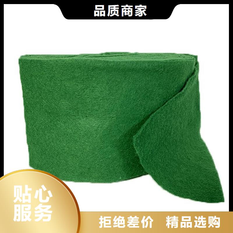 裹树布_植草格品质商家工程施工案例