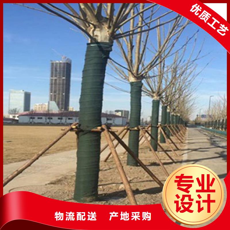 裹树布_塑料盲沟质量为本当地厂家