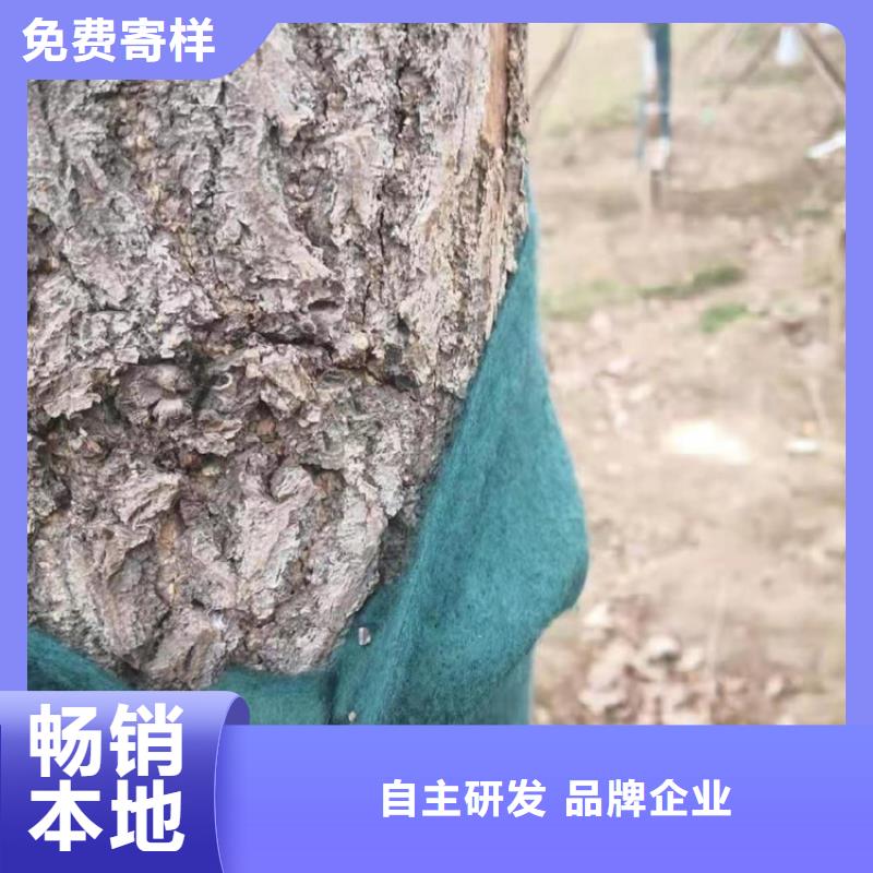 【裹树布】排水板优选原材技术先进