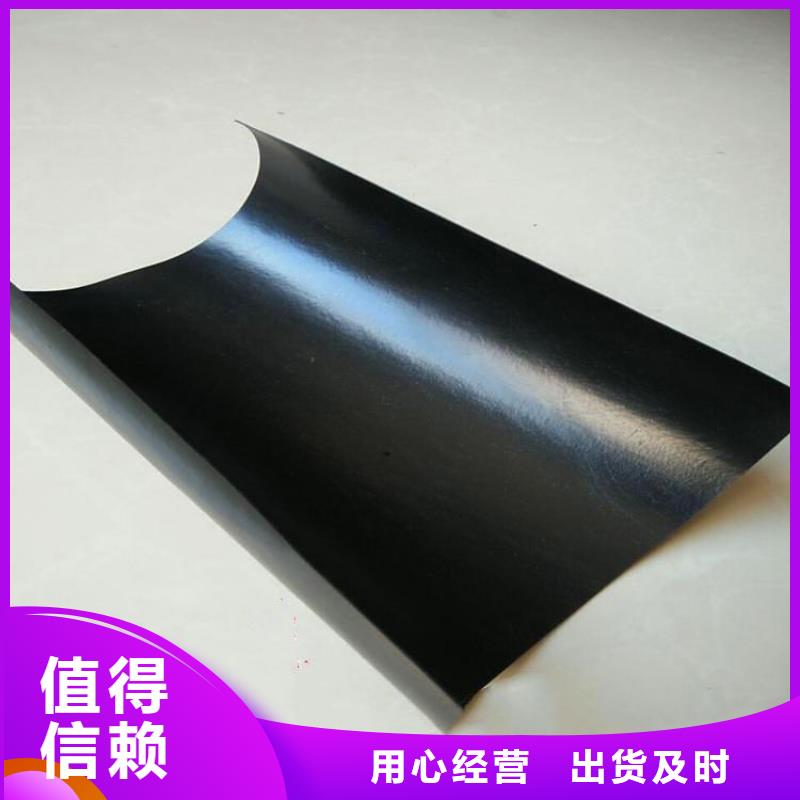 土工膜【矿用阻燃网】货源直供优良工艺