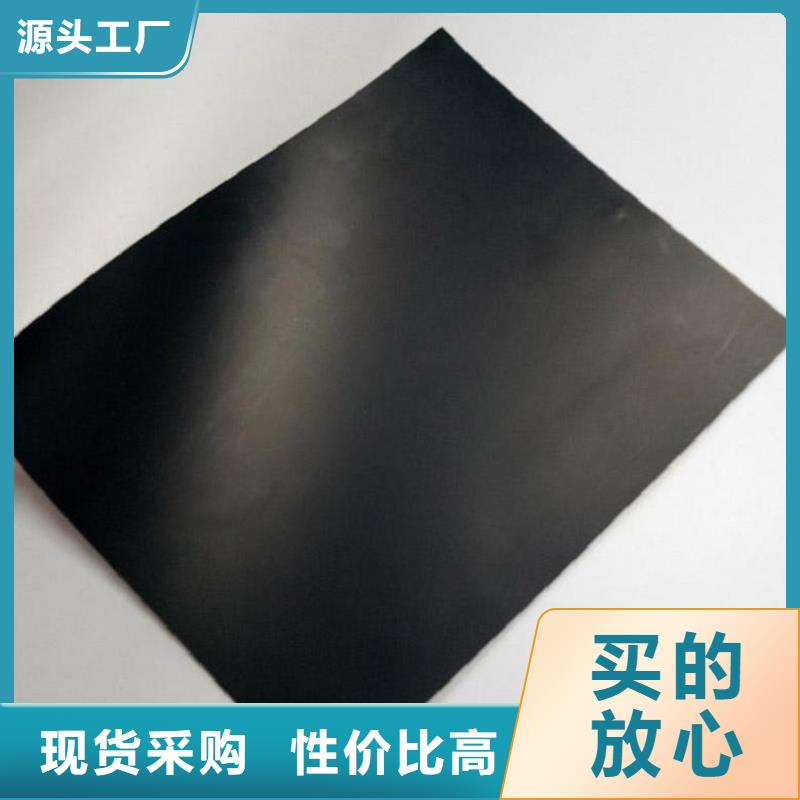 土工膜土工格栅精心打造重信誉厂家