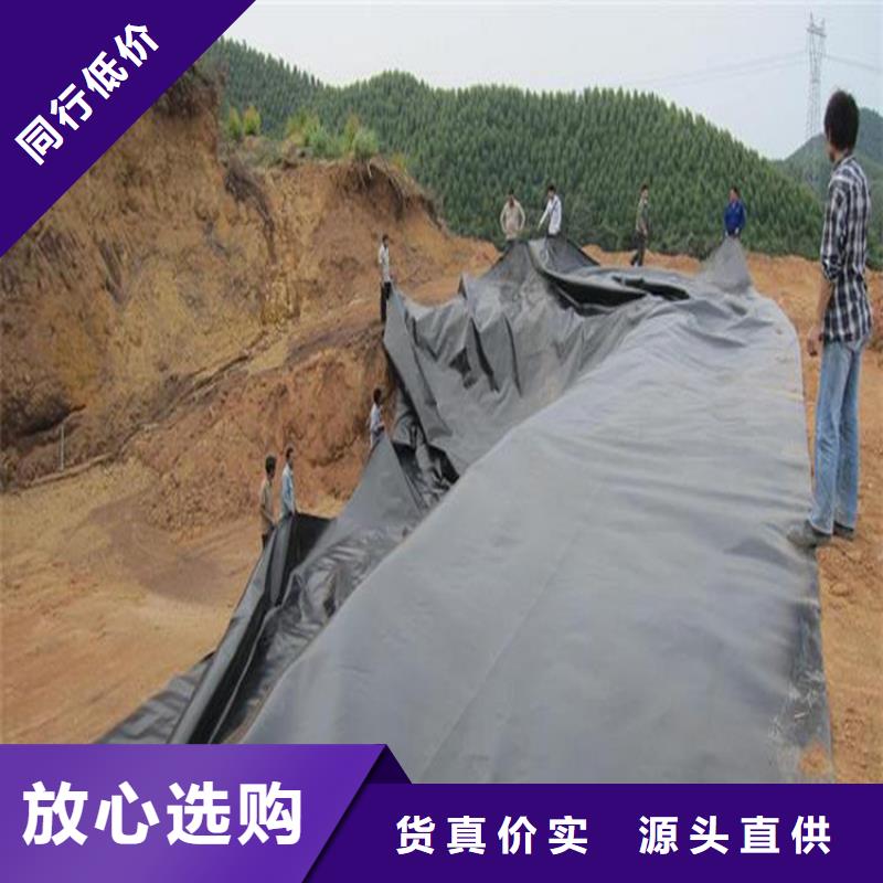 【土工膜拉筋带可放心采购】品质不将就
