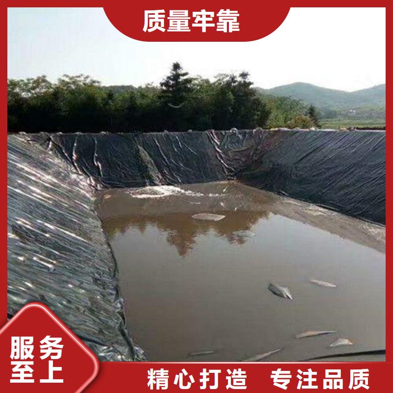 【土工膜防水板根据要求定制】当地制造商