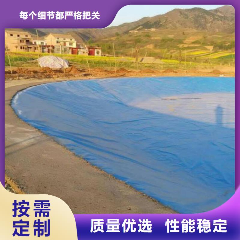 土工膜防渗膜专业生产N年本地货源