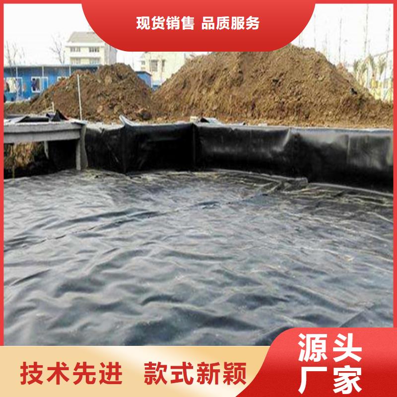 土工膜植草格厂家工艺先进同城厂家