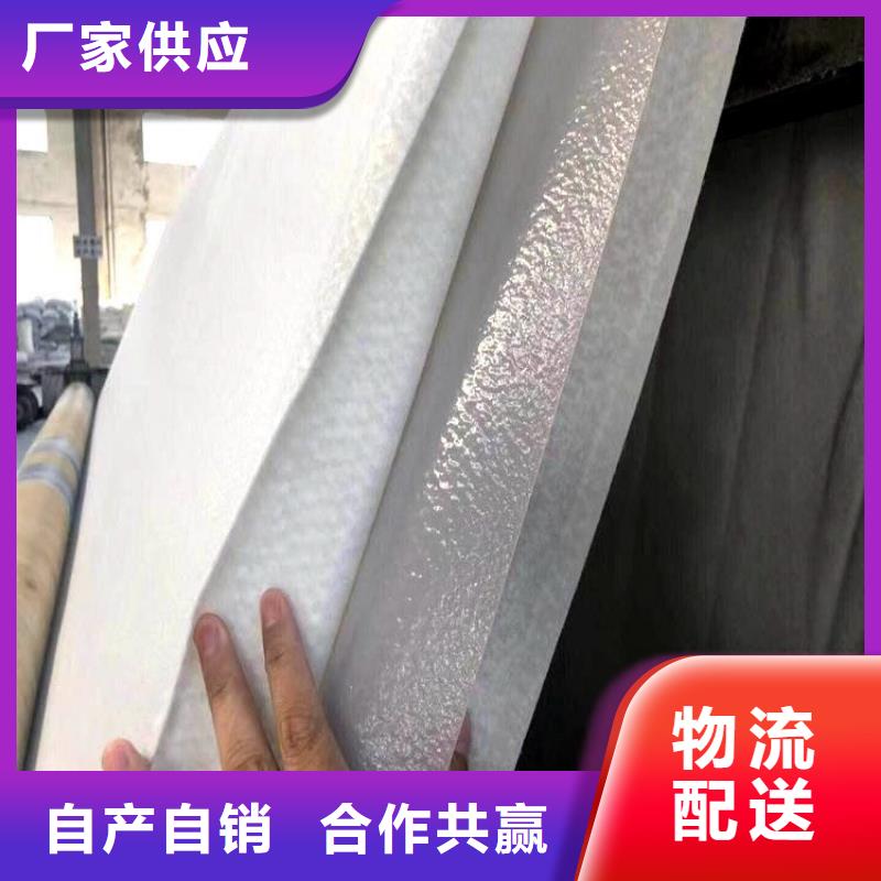 土工布【钢塑土工格栅】好产品不怕比欢迎来电询价