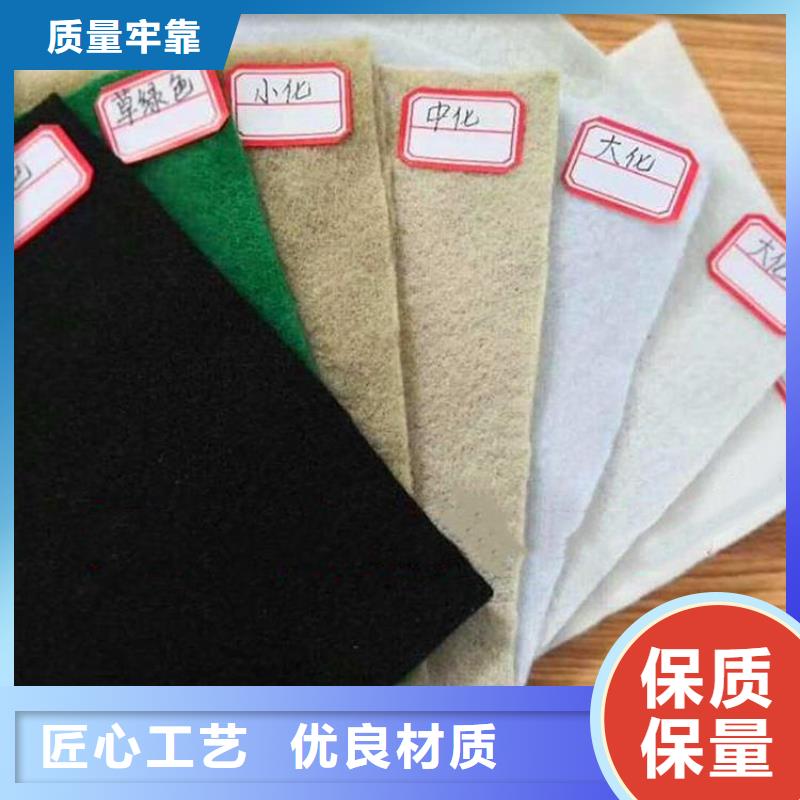 土工布土工格栅快捷物流多种规格供您选择