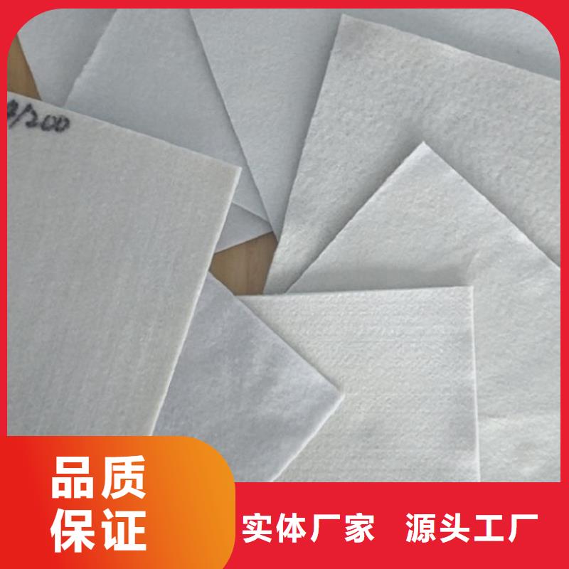 土工布【钢塑土工格栅】来电咨询服务周到