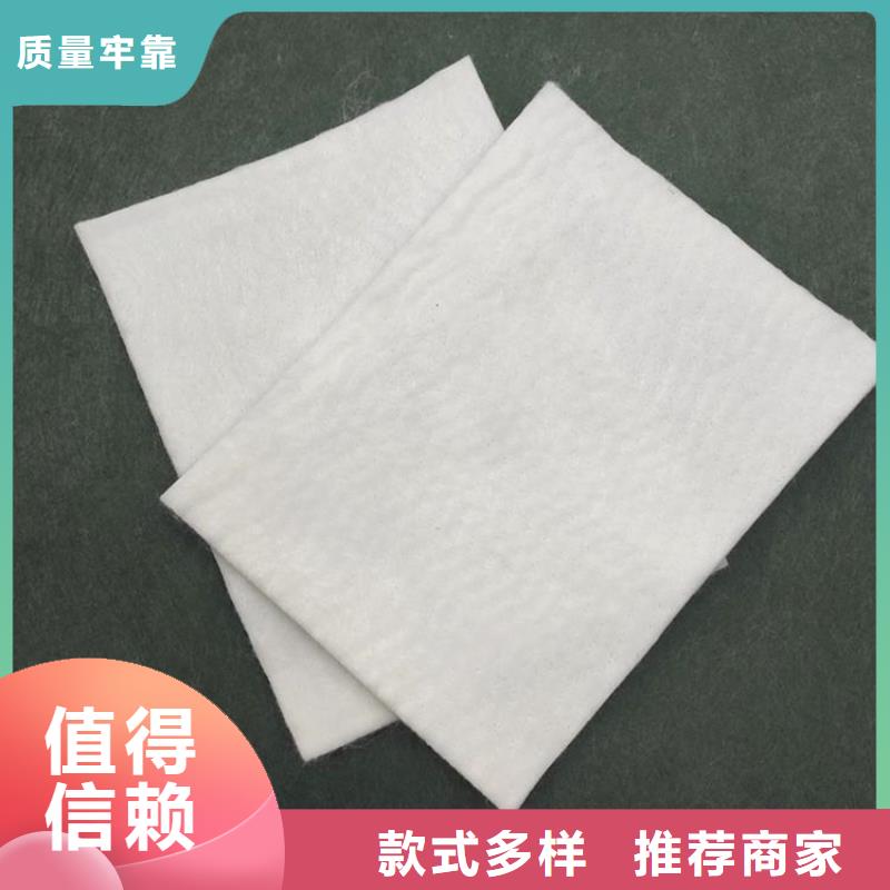 【土工布】蓄水板严选用料实体诚信厂家