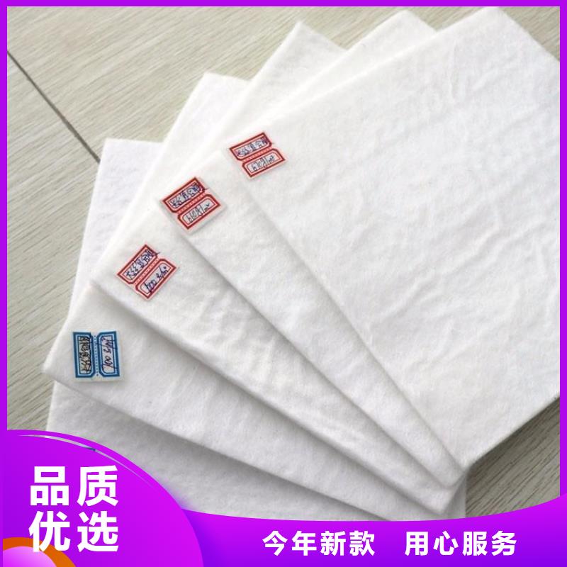 土工布土工格栅供应采购实力厂家