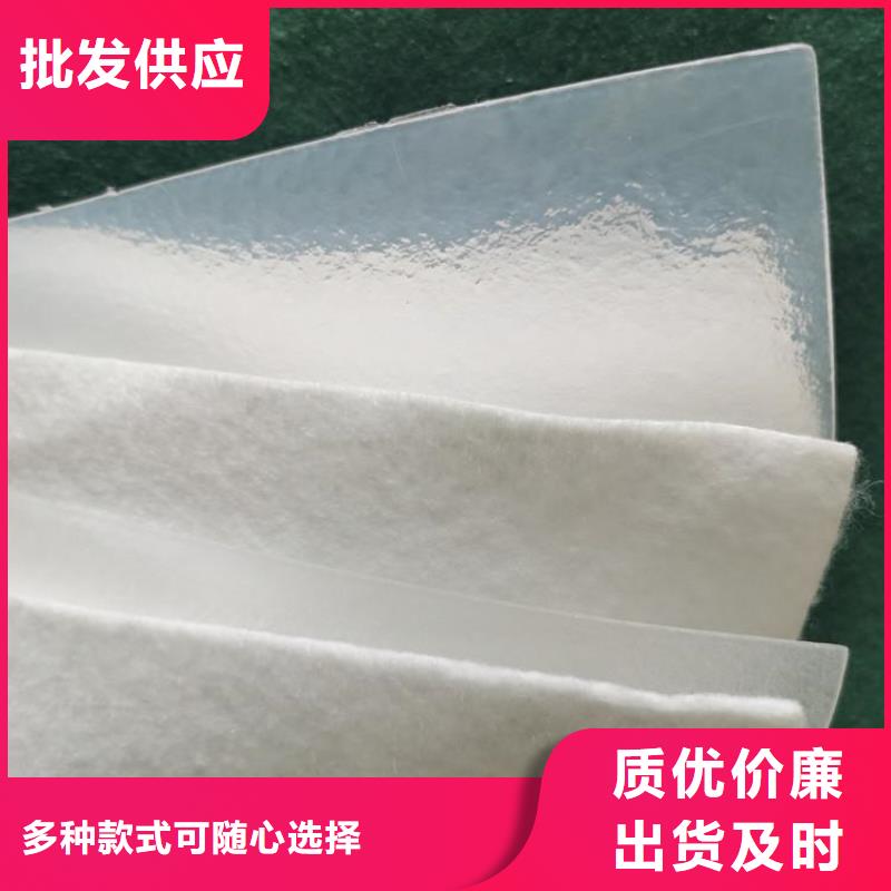 土工布防渗膜厂家多种工艺