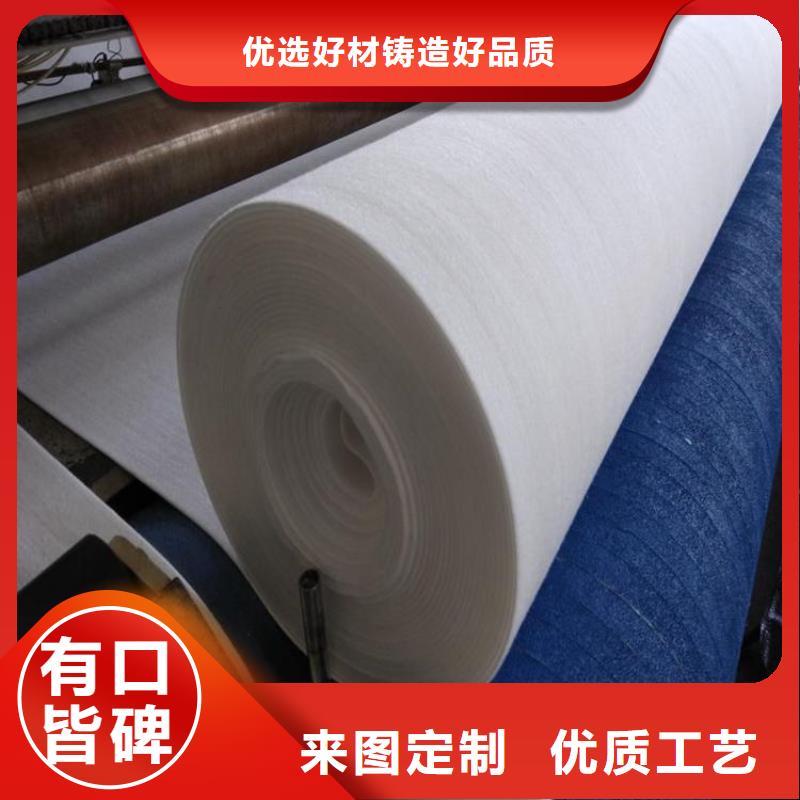 【土工布】涤纶格栅现货直供您身边的厂家